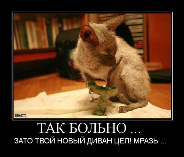 Лучшие цитаты из Маленького принца Лунный календарь стрижек на Май 2015 года