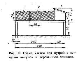 Клетки для нутрий своими руками размеры Клетки для нутрий своими руками размеры