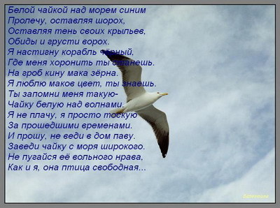 Стих крик чайки Стих крик чайки