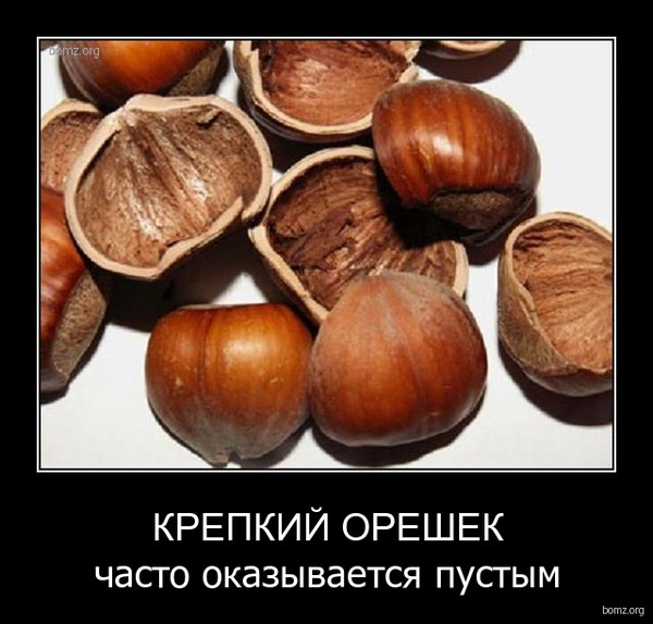 Крепкий орешек стих Крепкий орешек стих