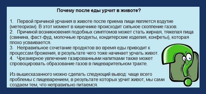 Почему в желудке урчит после еды Почему в желудке урчит после еды