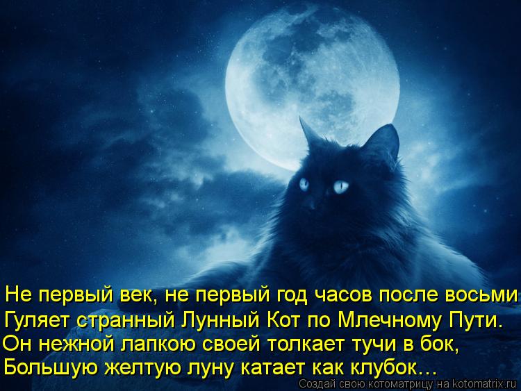 Луна с луною говорит стих Луна с луною говорит стих