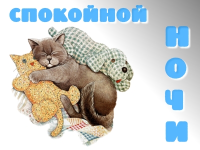 Пожелания ночь любимой смс Пожелания ночь любимой смс
