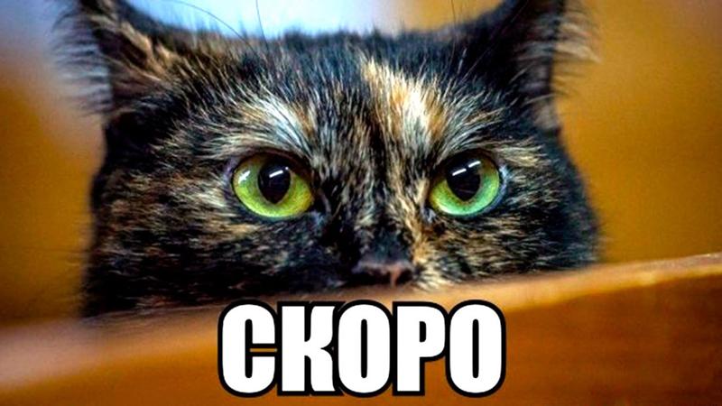 Песня экзамены кончатся скоро скачать