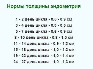 Матка по дням цикла при беременности