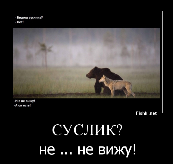 Анекдот про суслика а он есть Анекдот про суслика а он есть
