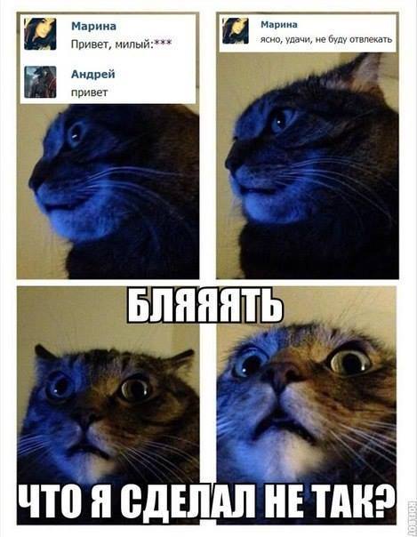 Как пишется сделала ни так Как пишется сделала ни так