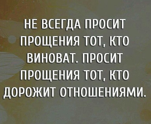 Цитаты о том как я виноват Цитаты о том как я виноват