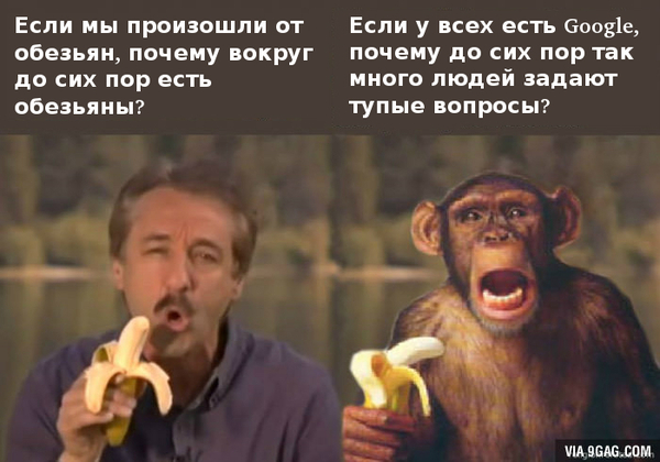 Почему человек произошел не от обезьяны Почему человек произошел не от обезьяны