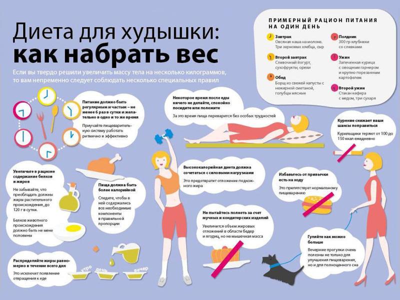 Как добавить вес в домашних условиях Как добавить вес в домашних условиях