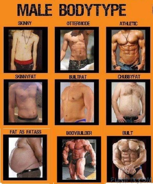 average body fat for women №79568 average body fat for women № 79567