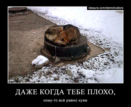 Новогодняя композиция своими руками для начинающих