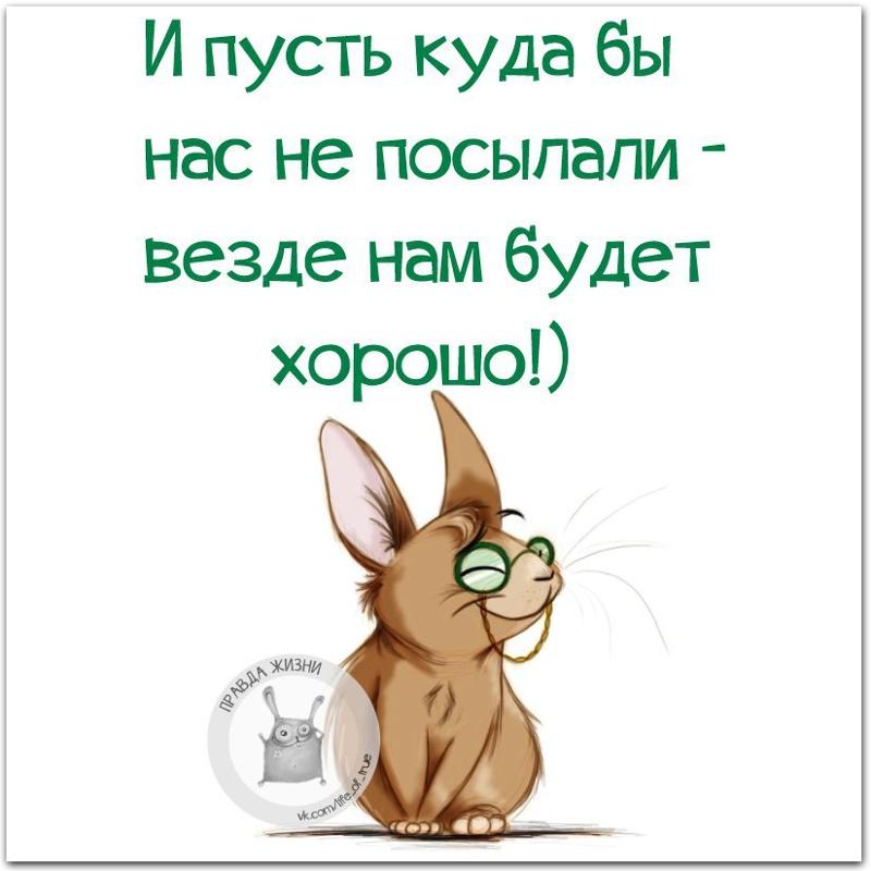 Прикол все будет хорошо статусы Прикол все будет хорошо статусы