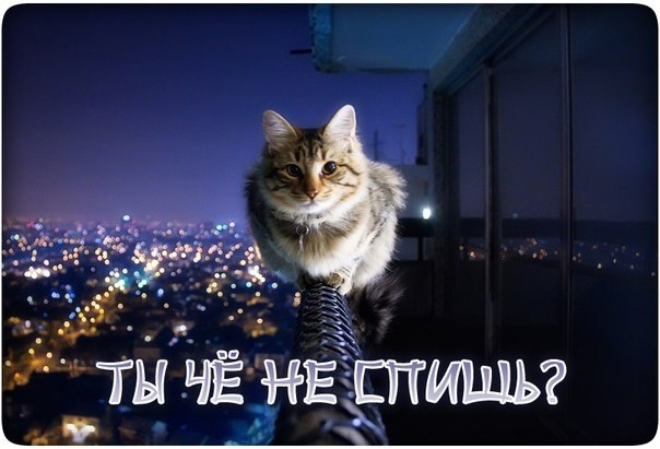 Открытка что не спится Открытка что не спится
