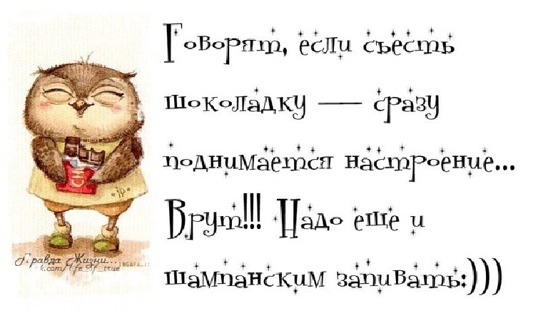 Афоризм которые поднимает настроение Афоризм которые поднимает настроение