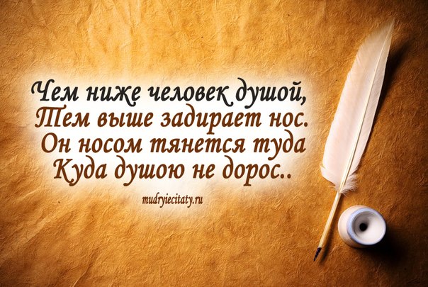 Высоко цитаты афоризмы Высоко цитаты афоризмы