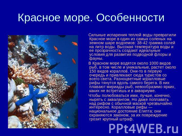 Почему красное море самое солёное в мире Почему красное море самое солёное в мире