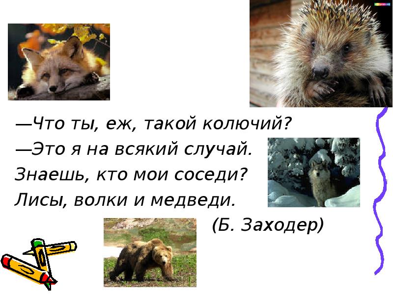 Я колючий ежик стих Я колючий ежик стих