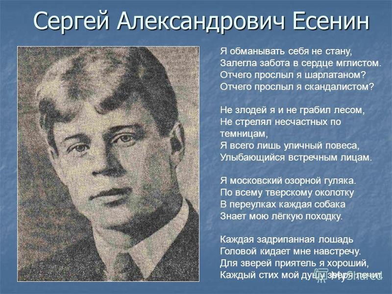 Я обманывать тебя не стану есенин стих Я обманывать тебя не стану есенин стих