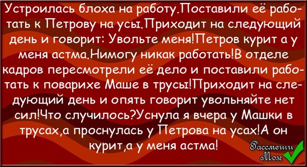 Анекдот как блоха на работу устроилась Анекдот как блоха на работу устроилась