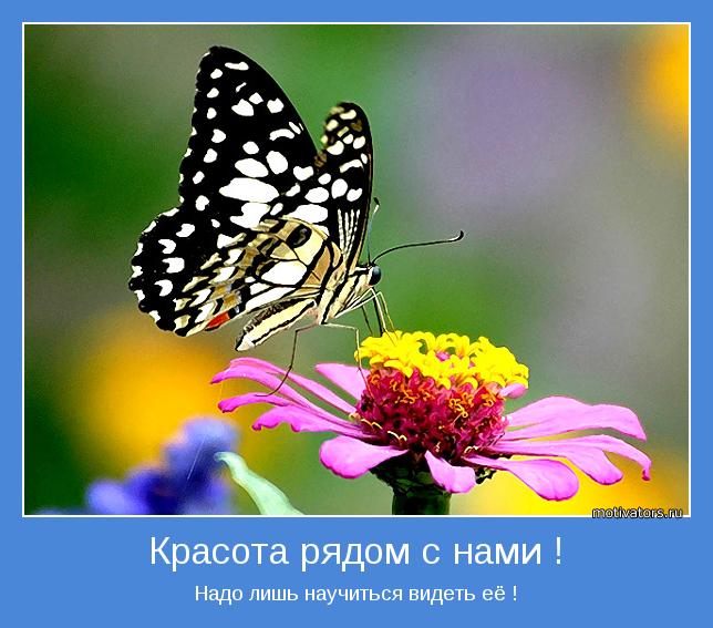 Вы учите нас видеть красоту Вы учите нас видеть красоту
