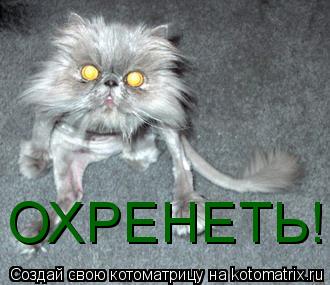 Деревянный диван для веранды своими руками: пошаговая Более 25 лучших идей на тему «Рамка своими руками» на