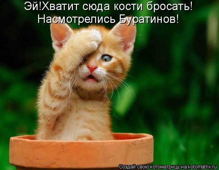 Открытка я не злюсь 738