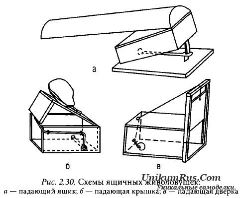 Живоловушка на белку своими руками 57