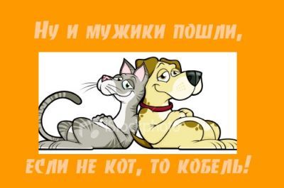 Прикольные картинки мужики-кобели, девочки годиком