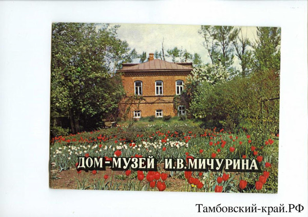 Мичурин проспект. Мичурин проспект