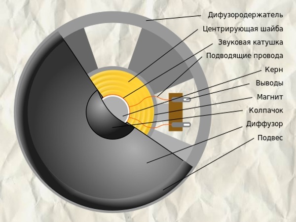 японский язык должен ли магнит динамика спорикосаться использовании книги