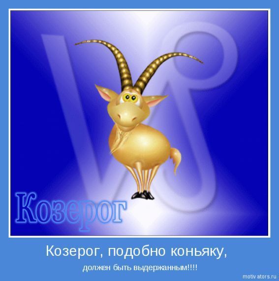 ВЛЮБЛЕННЫЙ МУЖЧИНА КОЗЕРОГ ДЕЛО ДНЯ Дзен