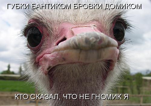 ГУБКИ БАНТИКОМ БРОВКИ ДОМИКОМ MP3 СКАЧАТЬ БЕСПЛАТНО ГУБКИ БАНТИКОМ БРОВКИ ДОМИКОМ MP3 СКАЧАТЬ БЕСПЛАТНО