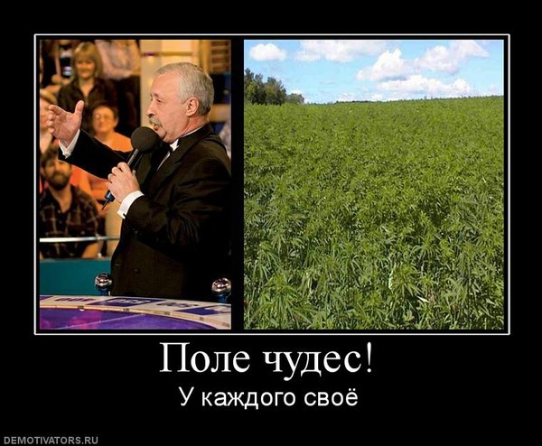 Поле чудес бабушка