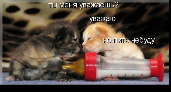 силы не занимать