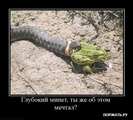 Сайт Лучших Минетов сайт лучших минетов