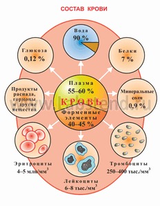 Автономное профессиональное образовательное учреждение Удмуртской Республики