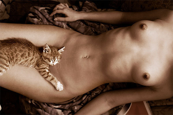 Pussy cat ludwigsburg
