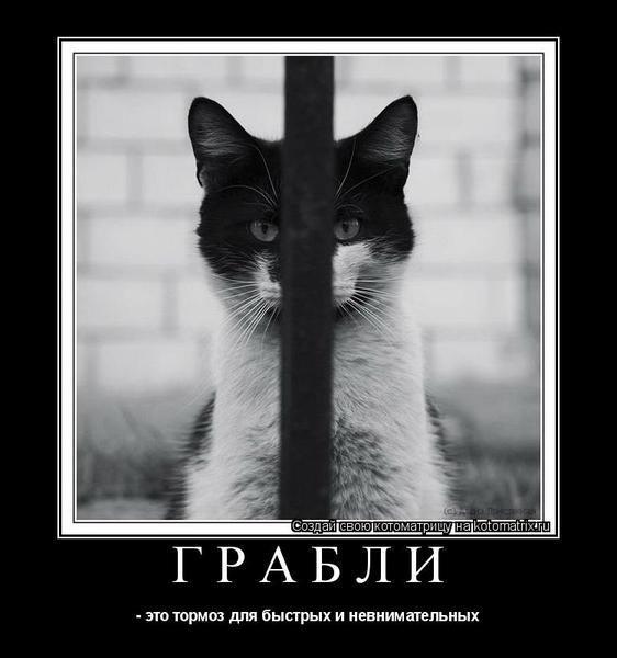 Как сделать так, чтобы парень тебя бросил: готовим его к 44 Как сделать так, чтобы парень тебя бросил: готовим его к 60