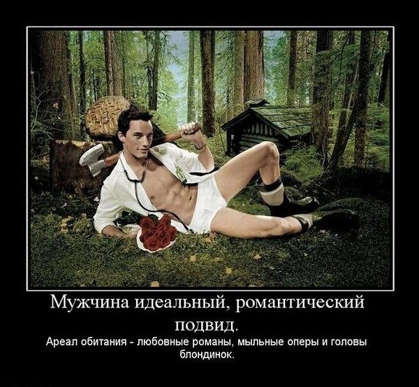 Виде рубашки, идеальный мужчина прикол картинка