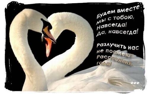 Проект время быть вместе Ответы Mail.ru: Что для вас, есть ЛЮБОВЬ?