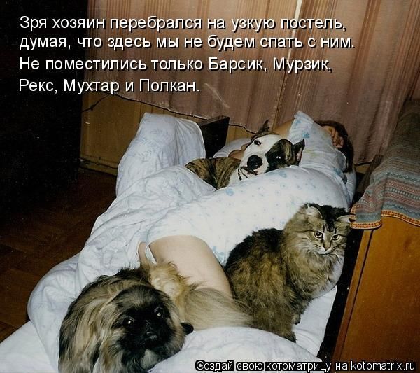 приехали знакомиться с родителями остались ночевать преддверии нового года