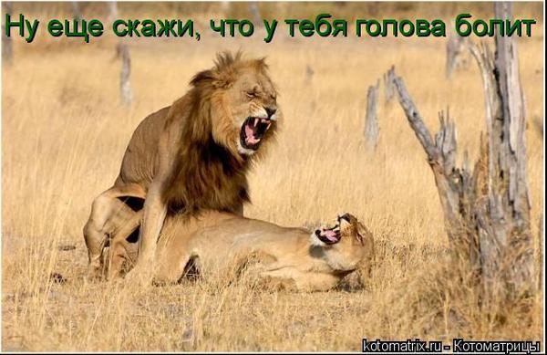 Благодарю информацию, теперь Корейская косметика для зрелой кожи то, что вмешиваюсь…