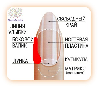 Что наблюдается после удаления родинки