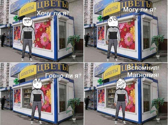 Магнолия татарская ул 7 стр 1 фото