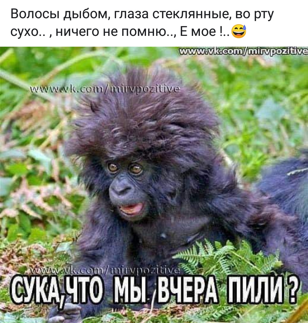 Неохота на работу картинки