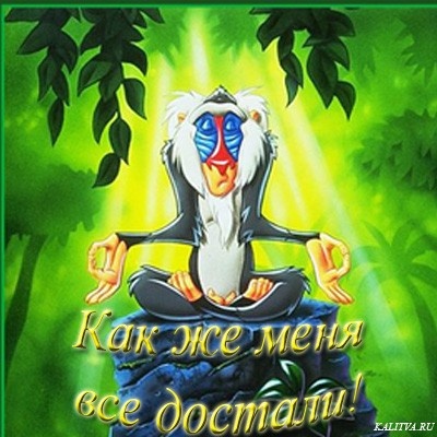 Нарисованные мишки, когда все достало смешные картинки