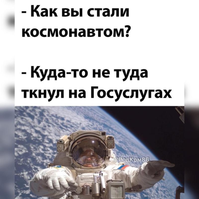 Как вы стали космонавтом куда. Как вы стали космонавтом госуслуги. Как вы стали космонавтом. Как вы стали космонавтом прикол с котом. Как вы стали космонавтом госуслуги.