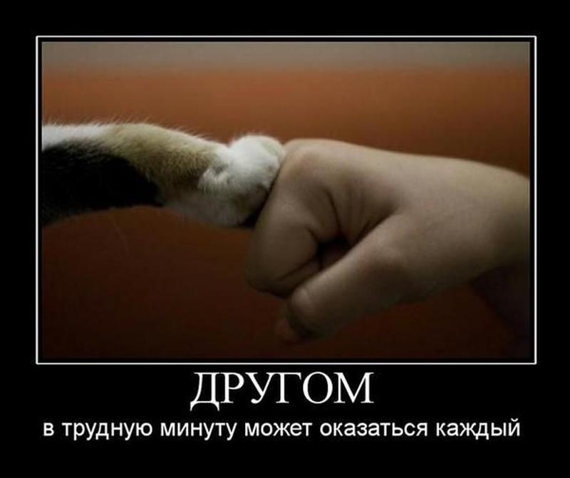 картинки как поддержать друга ли, что при