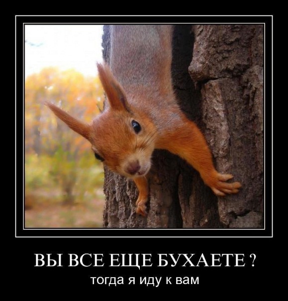 Открытки много не пейте, дню славянской
